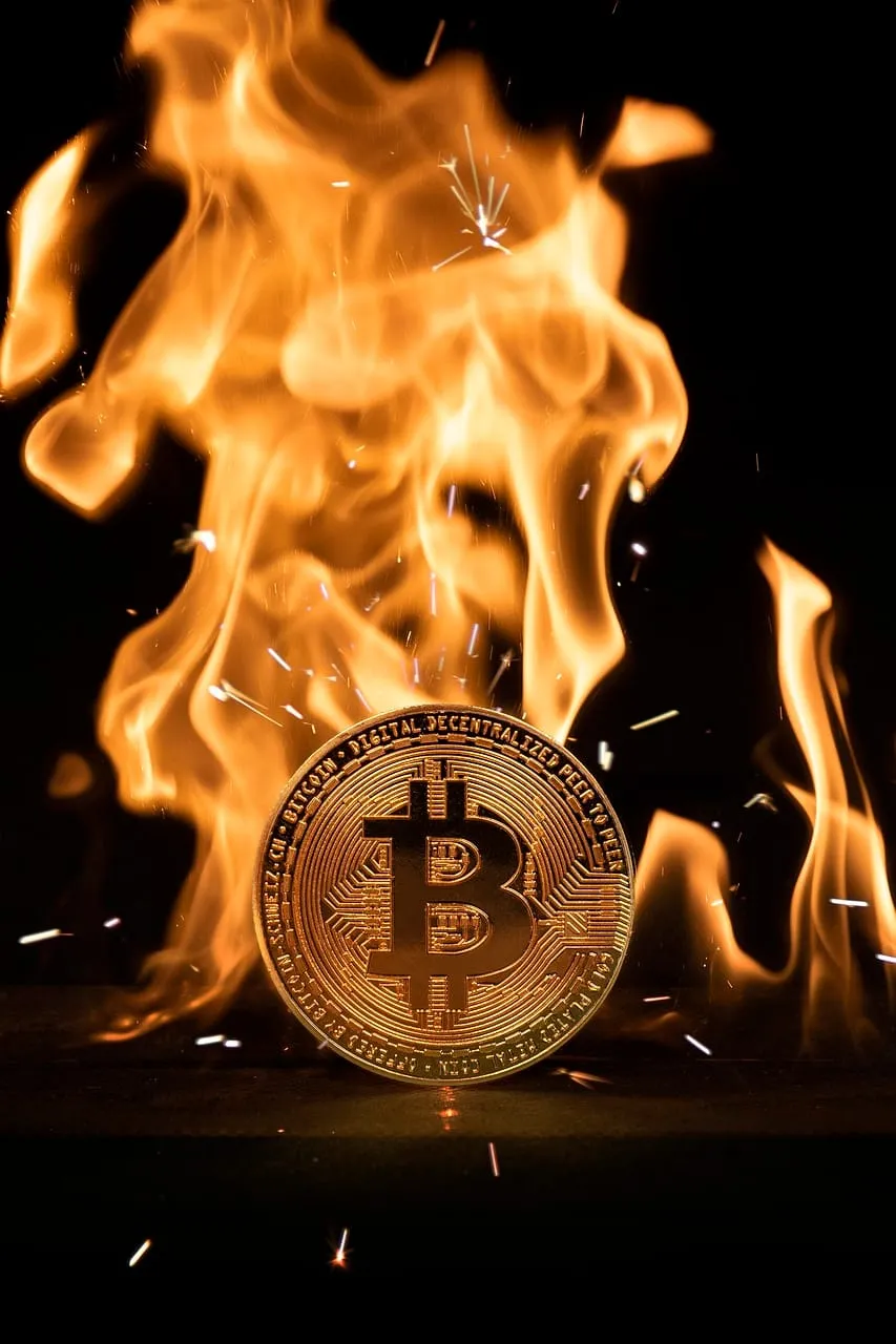 Bitcoin Redpill - Foto: Pìxabay